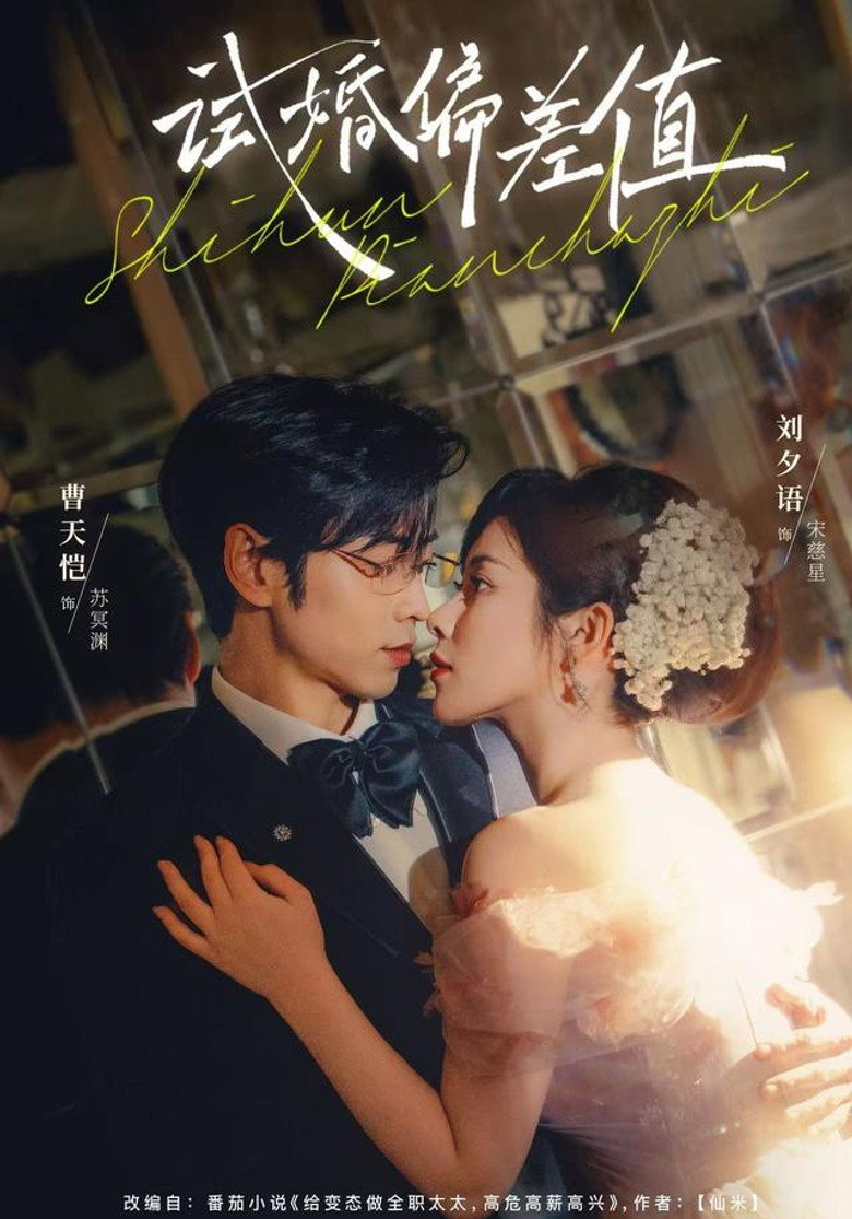 试婚偏差值 poster background