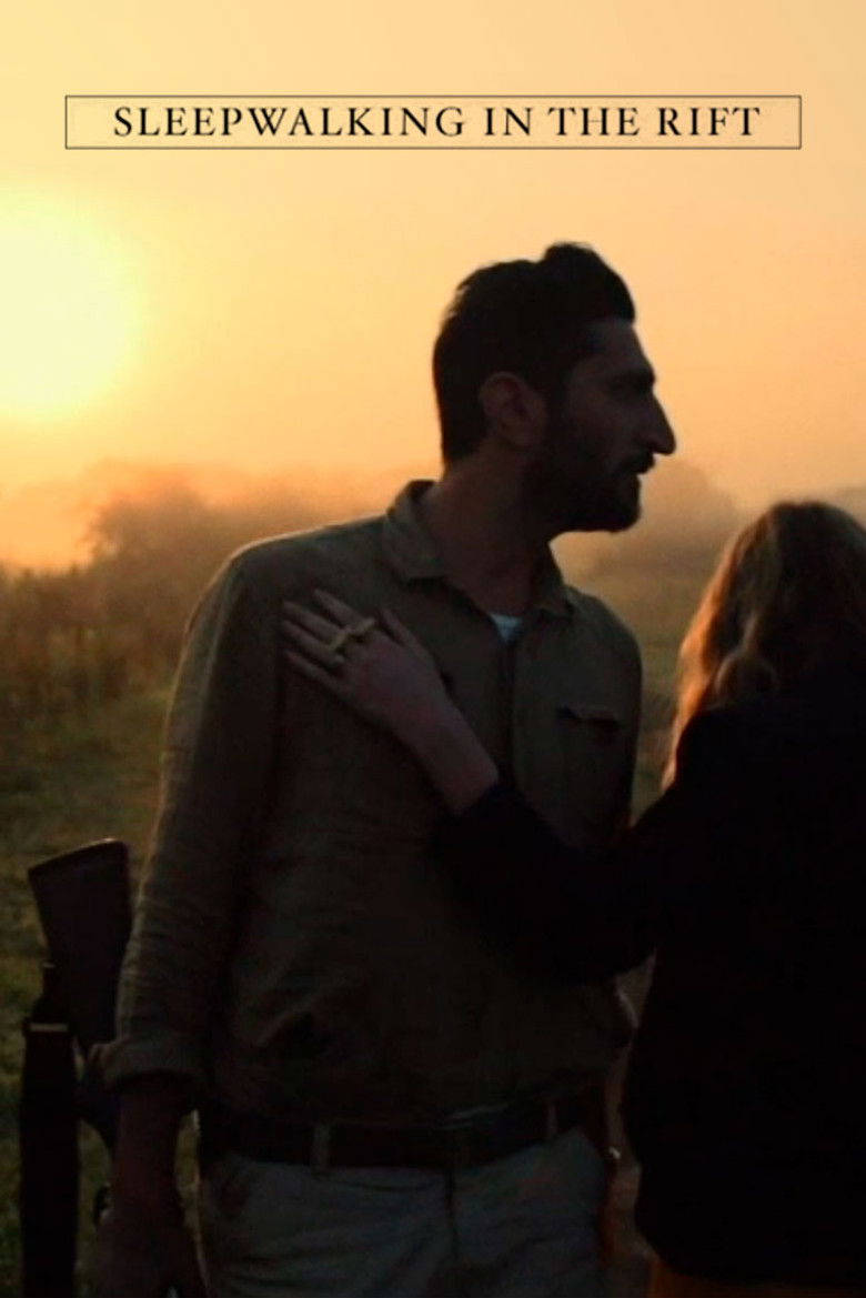 Sleepwalking in the Rift poster background