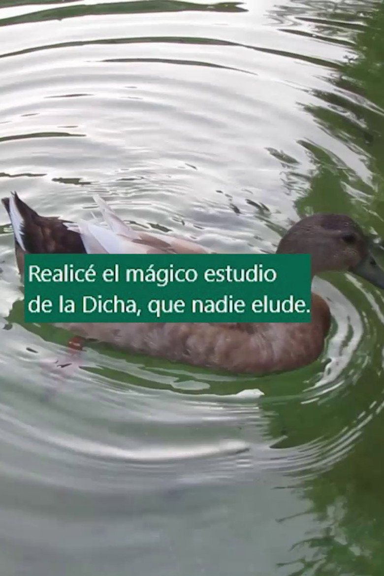 Cinco arrimamientos poster background