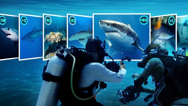 A diver in full scuba gear floats above a coral reef, sunlight filtering through the water as a reef shark glides beneath them.