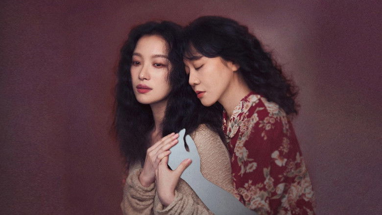 A dimly lit room with a single window casting long, dramatic shadows across the floor.