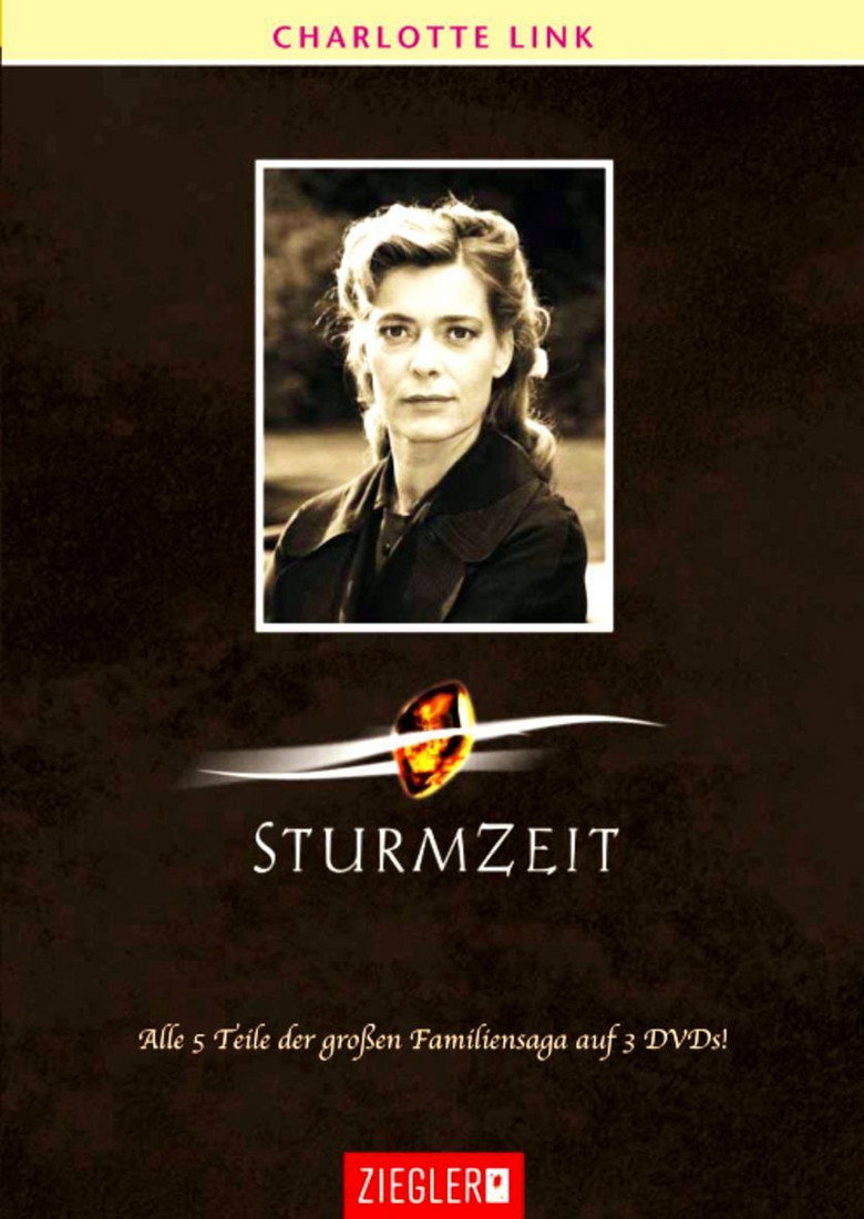 Sturmzeit poster background