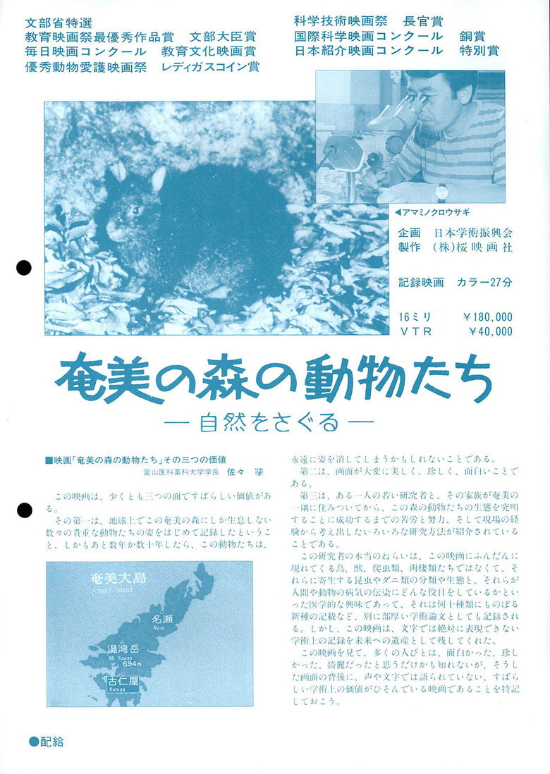 奄美の森の動物たち―自然をさぐ る― poster background