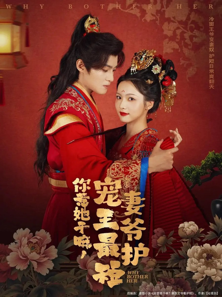 你惹她干嘛，宠妻王爷最护短 poster background