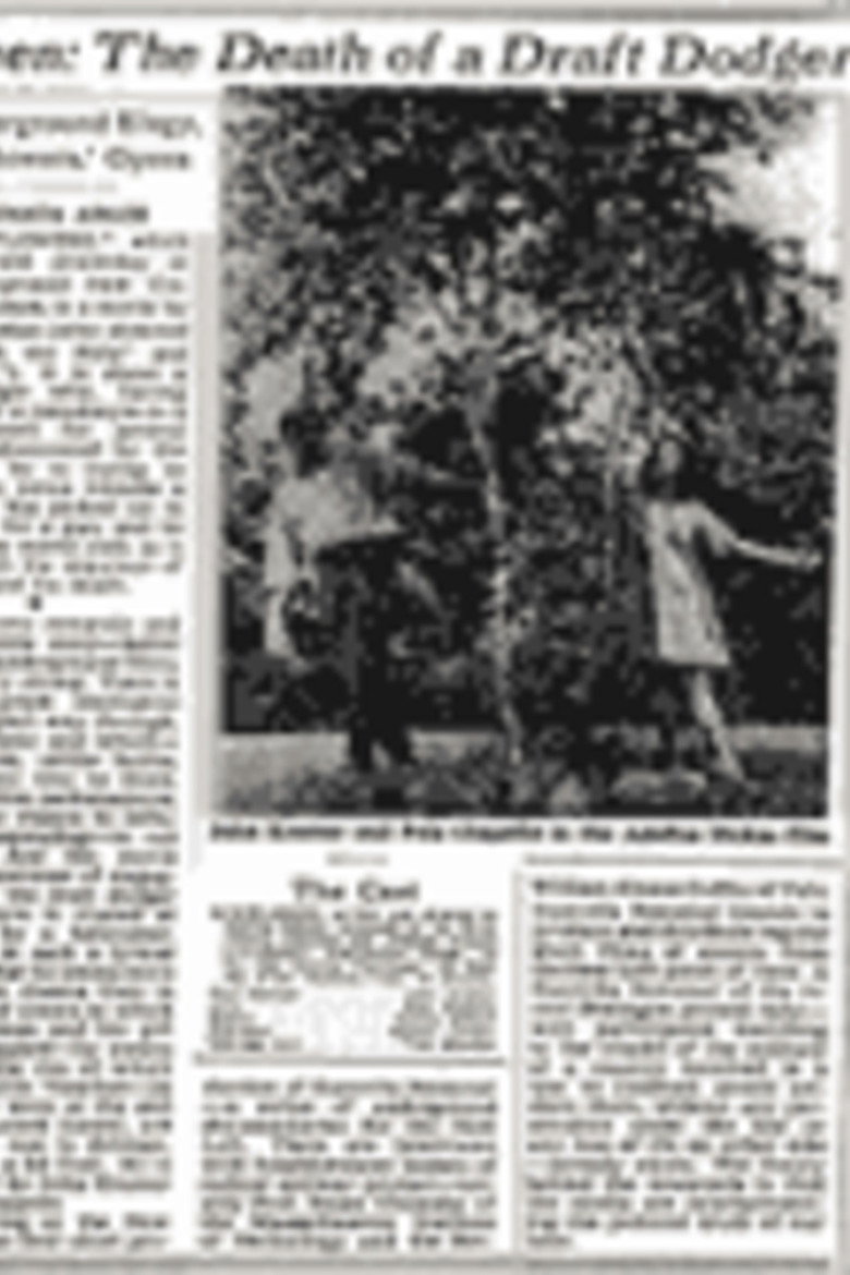 Windflowers poster background