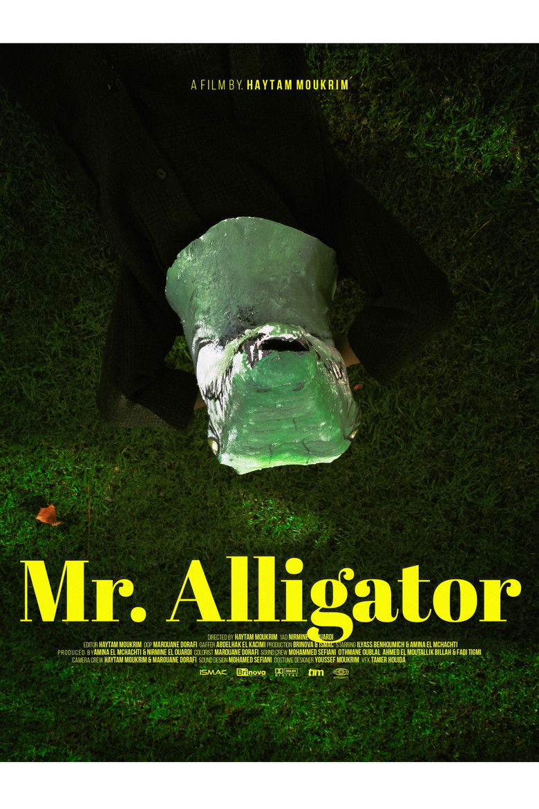Mr. Alligator poster background