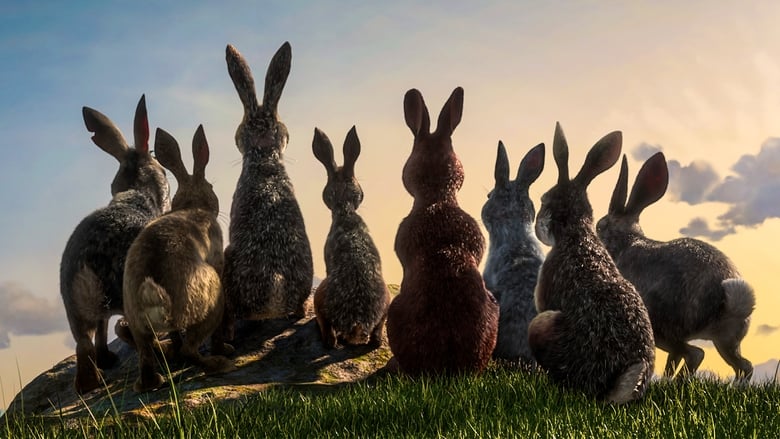 A group of rabbits huddle together in a dark, misty landscape, their eyes wide with fear