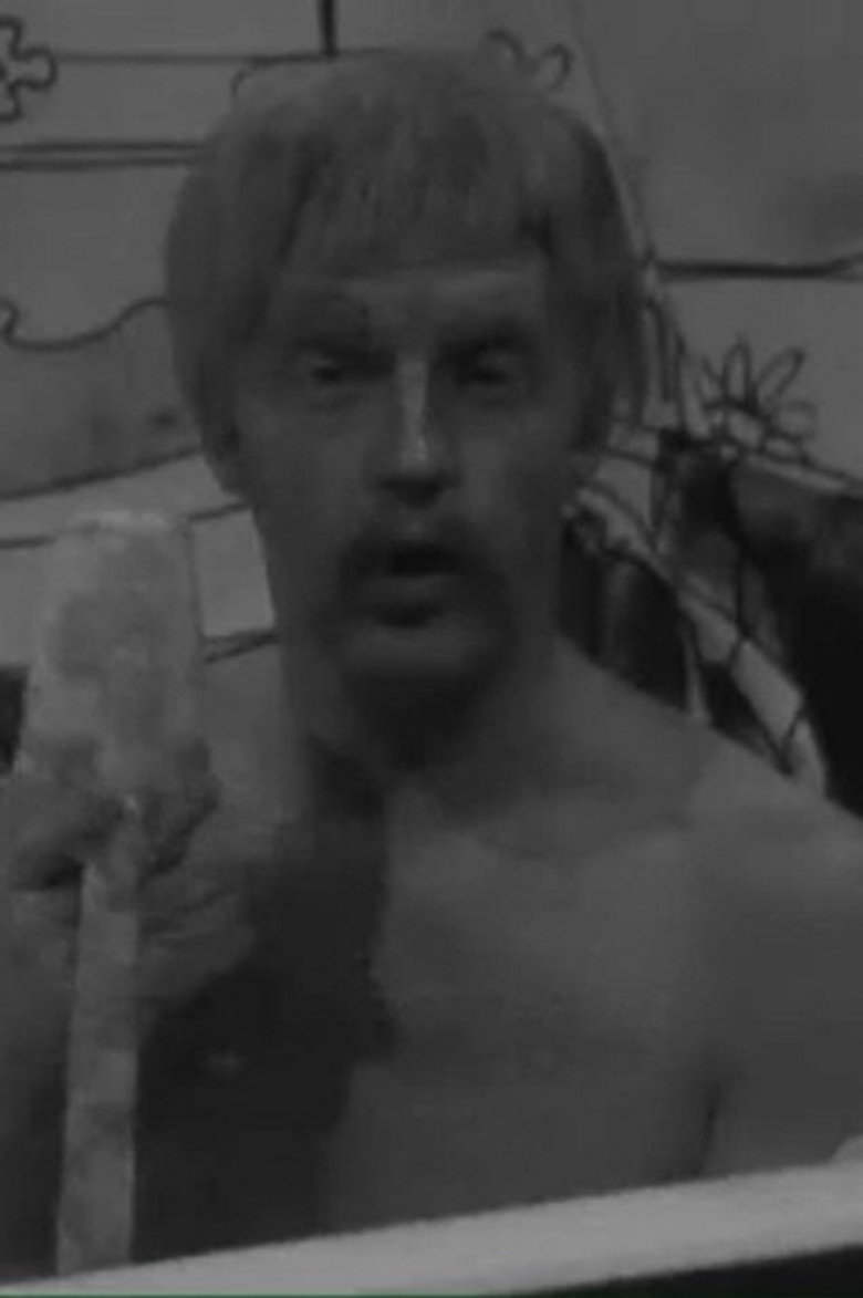 André van Duin Show (1970) poster background