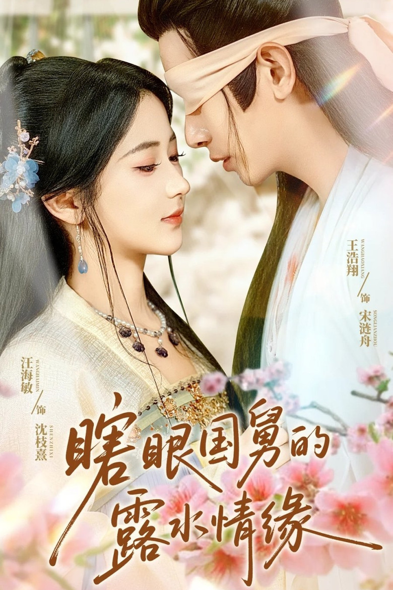 瞎眼国舅的露水情缘 poster background