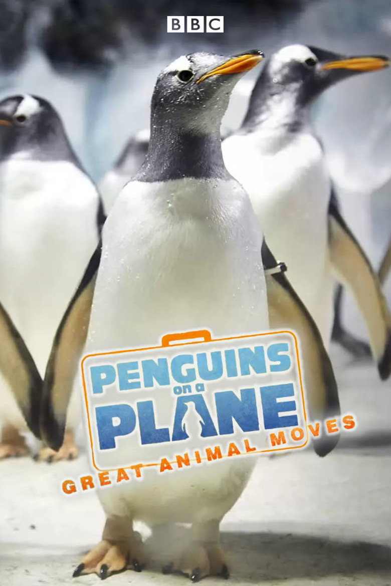 Penguins on a Plane: Great Animal Moves poster background