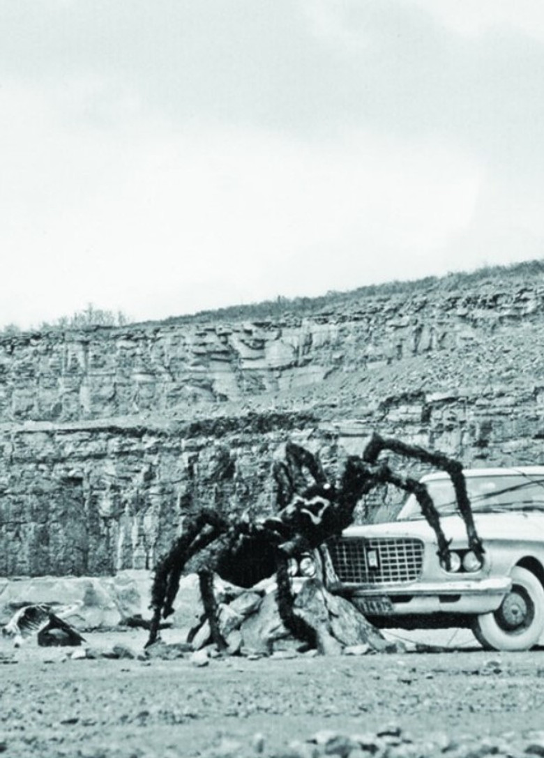 As Long as the Stratified Animal Lights Up poster background