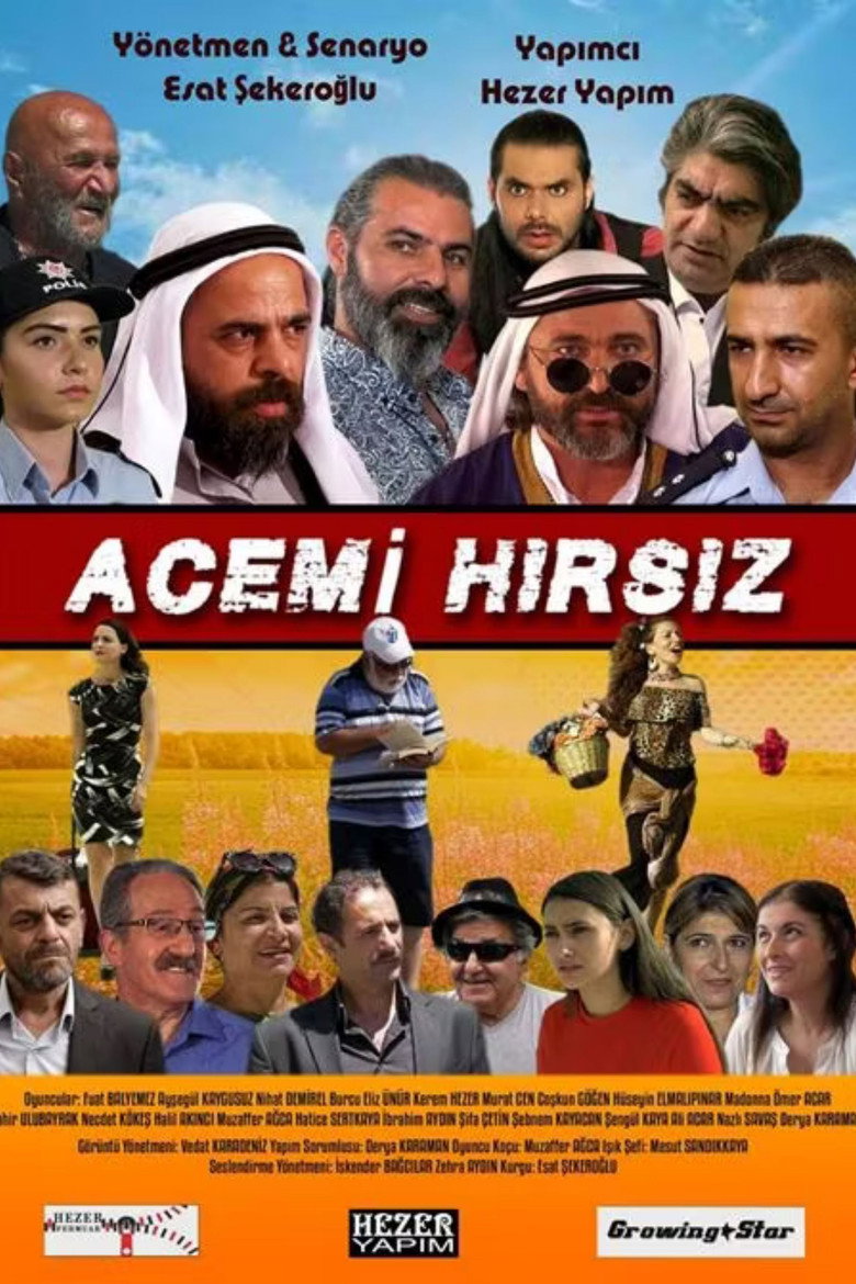 Acemi Hırsız poster background