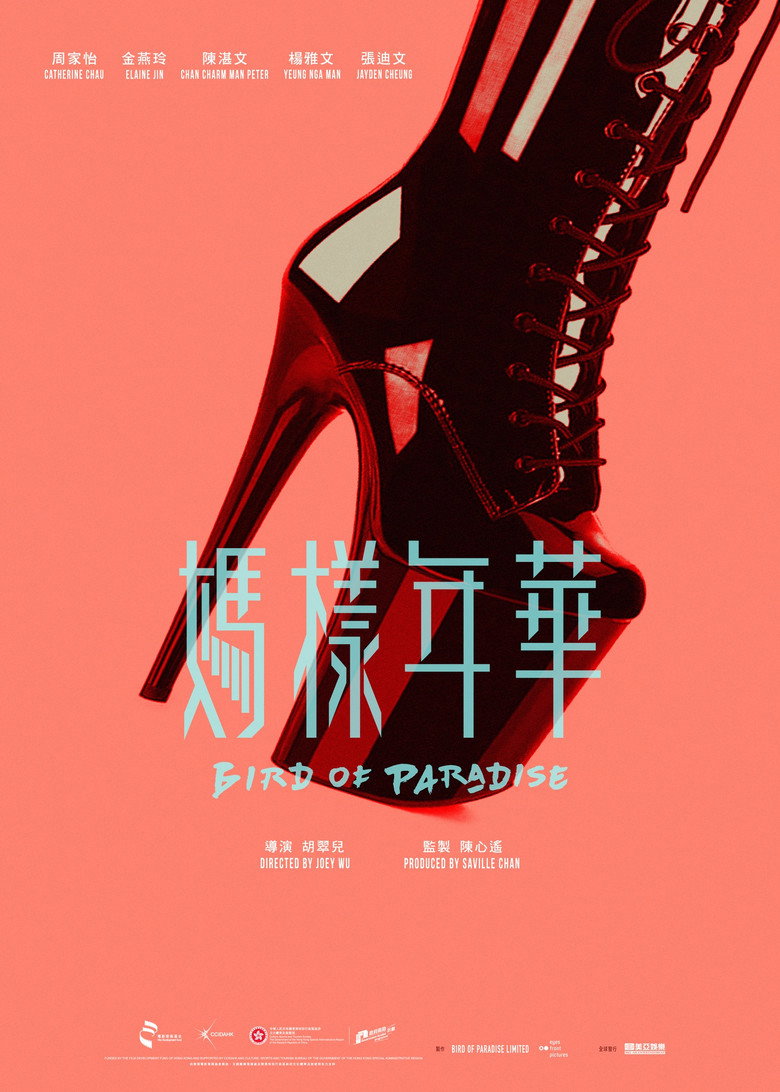 Bird of Paradise poster background