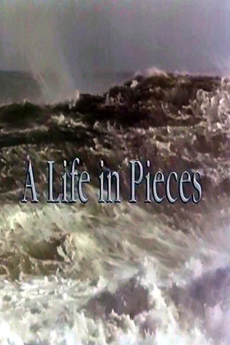 A Life In Pieces poster background