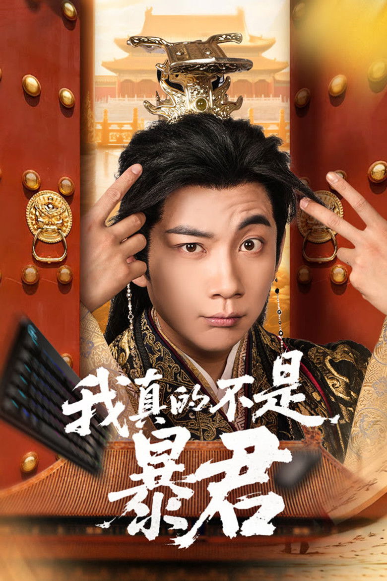 我真的不是暴君 poster background