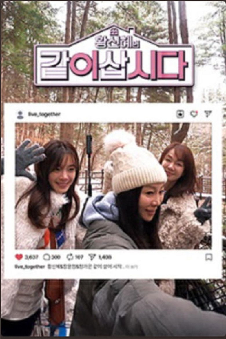 황신혜의 같이 삽시다 poster background