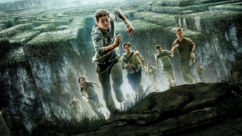 The Gladers looking up at the maze walls