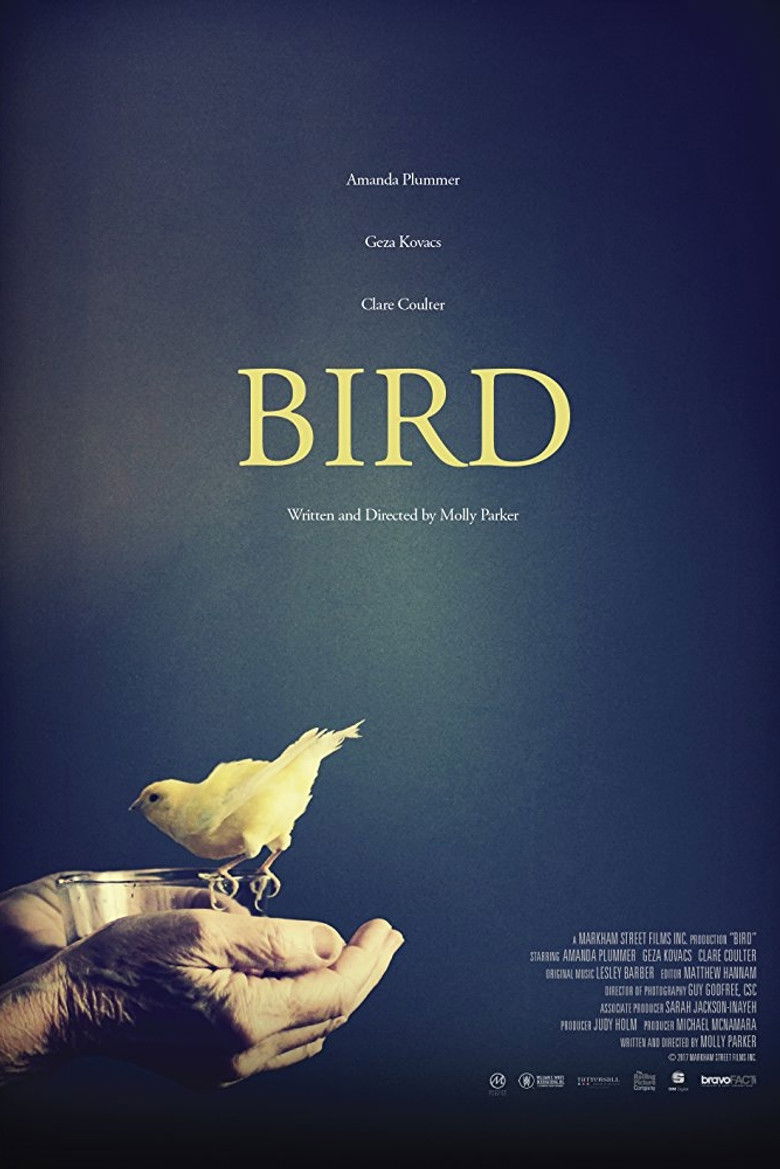 Bird poster background