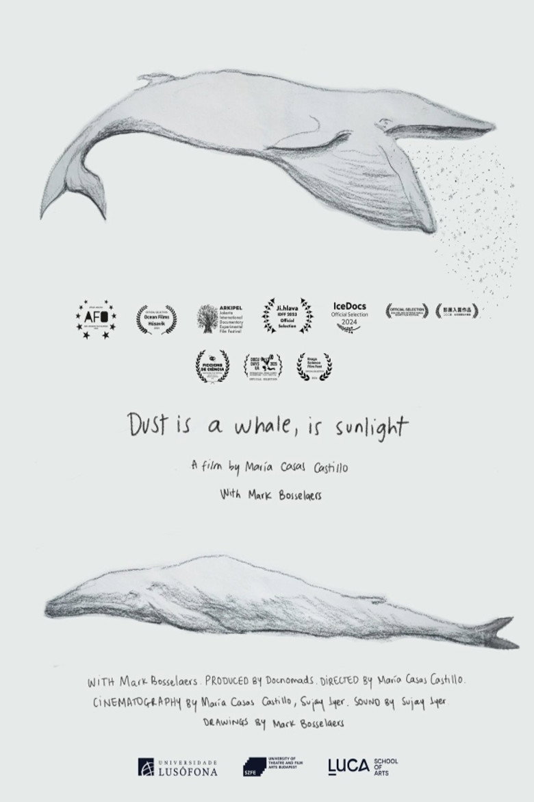 Dust is a Whale, is Sunlight poster background