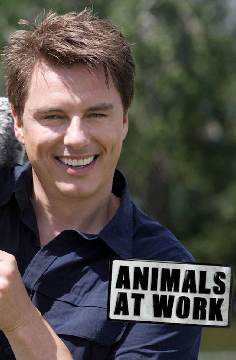 Animals at Work poster background