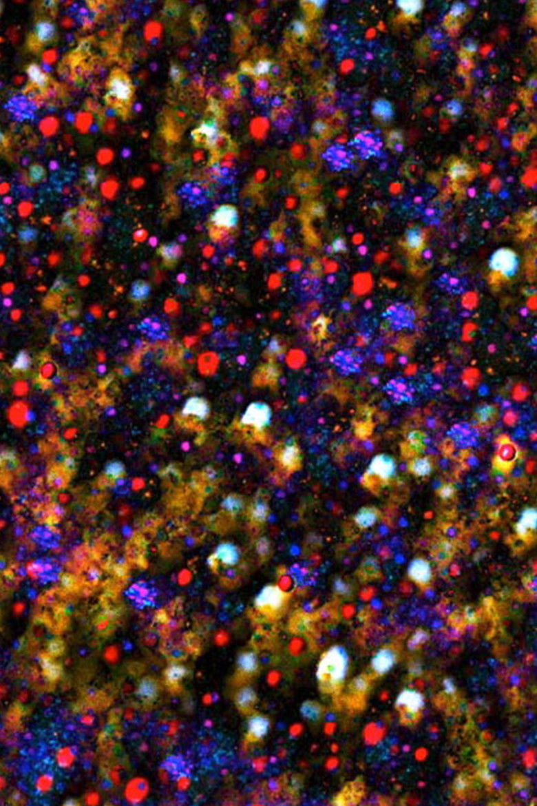 There must be some kind of way out of here poster background