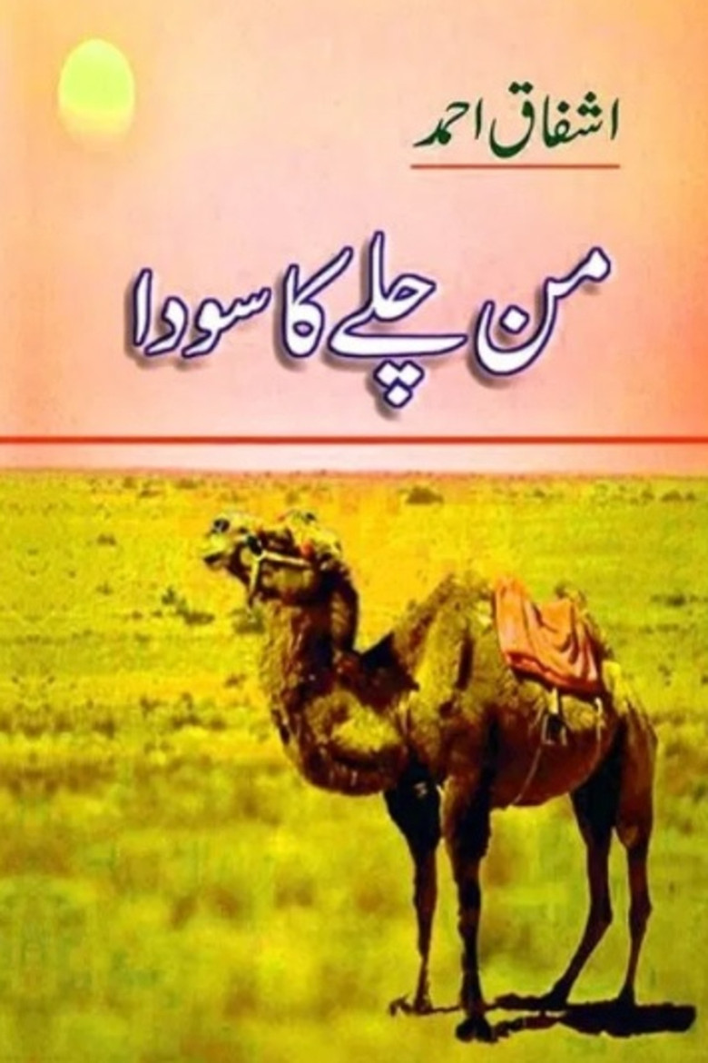 من چلے کا سودا poster background