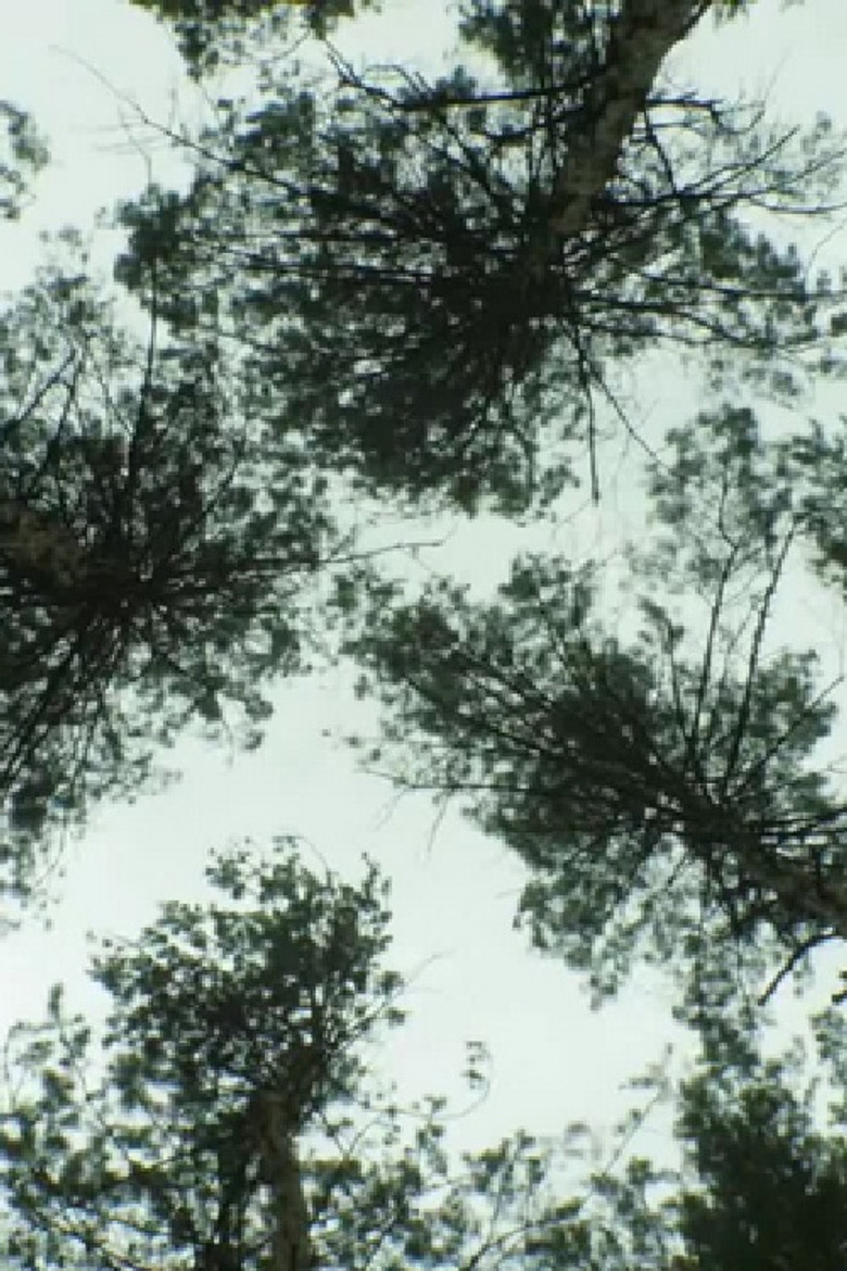 Nature_Nature poster background