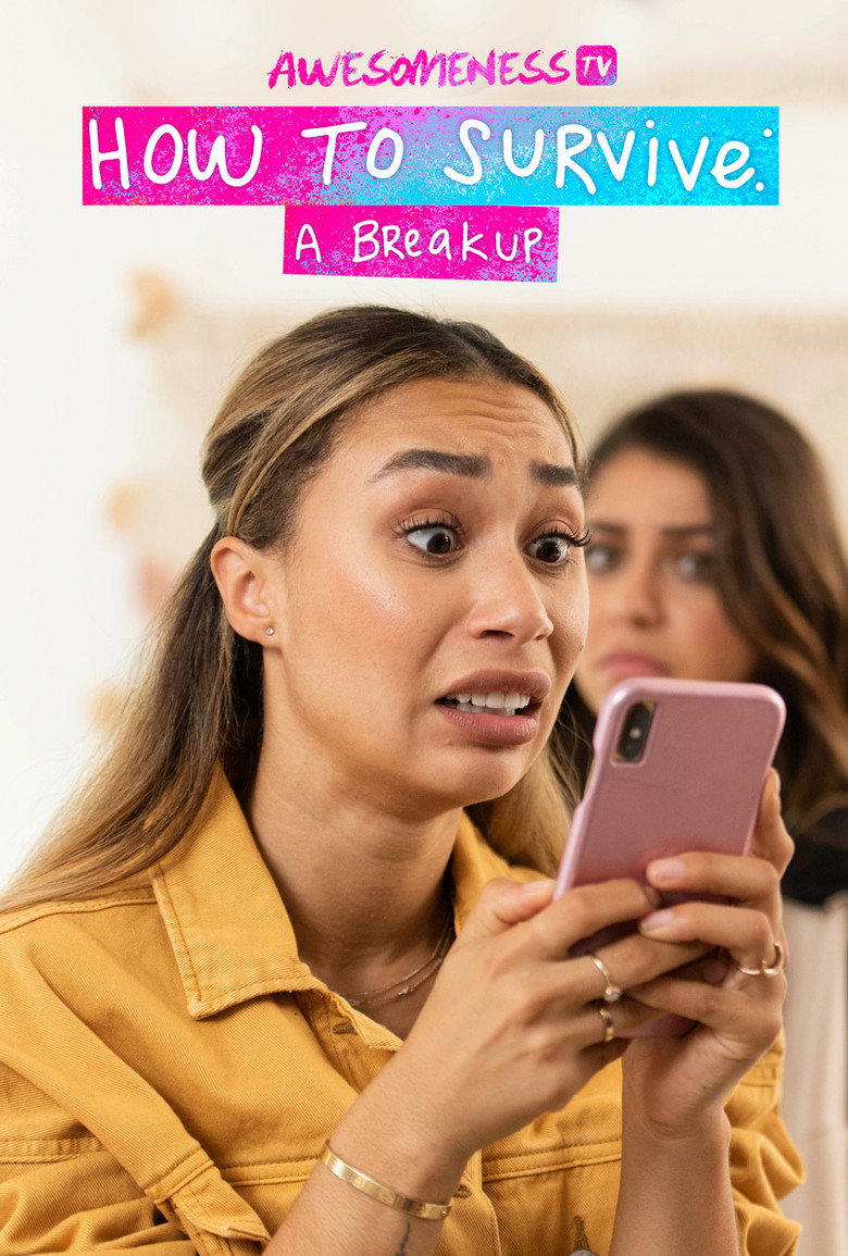 How to Survive a Break-Up poster background