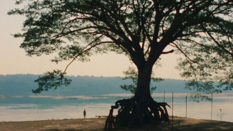 The spectral glow of the factory floor at night