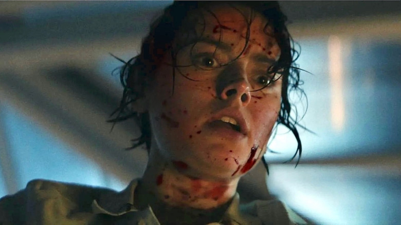 The desolate Tasmanian landscape