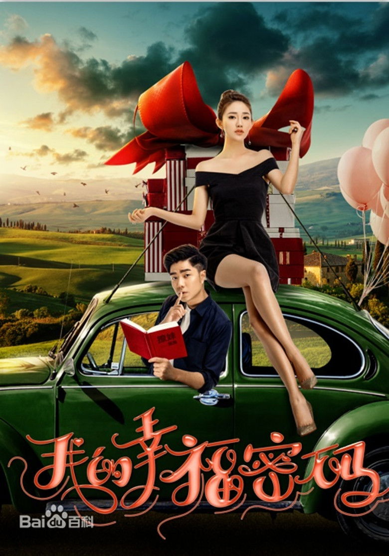 我的幸福密码 poster background