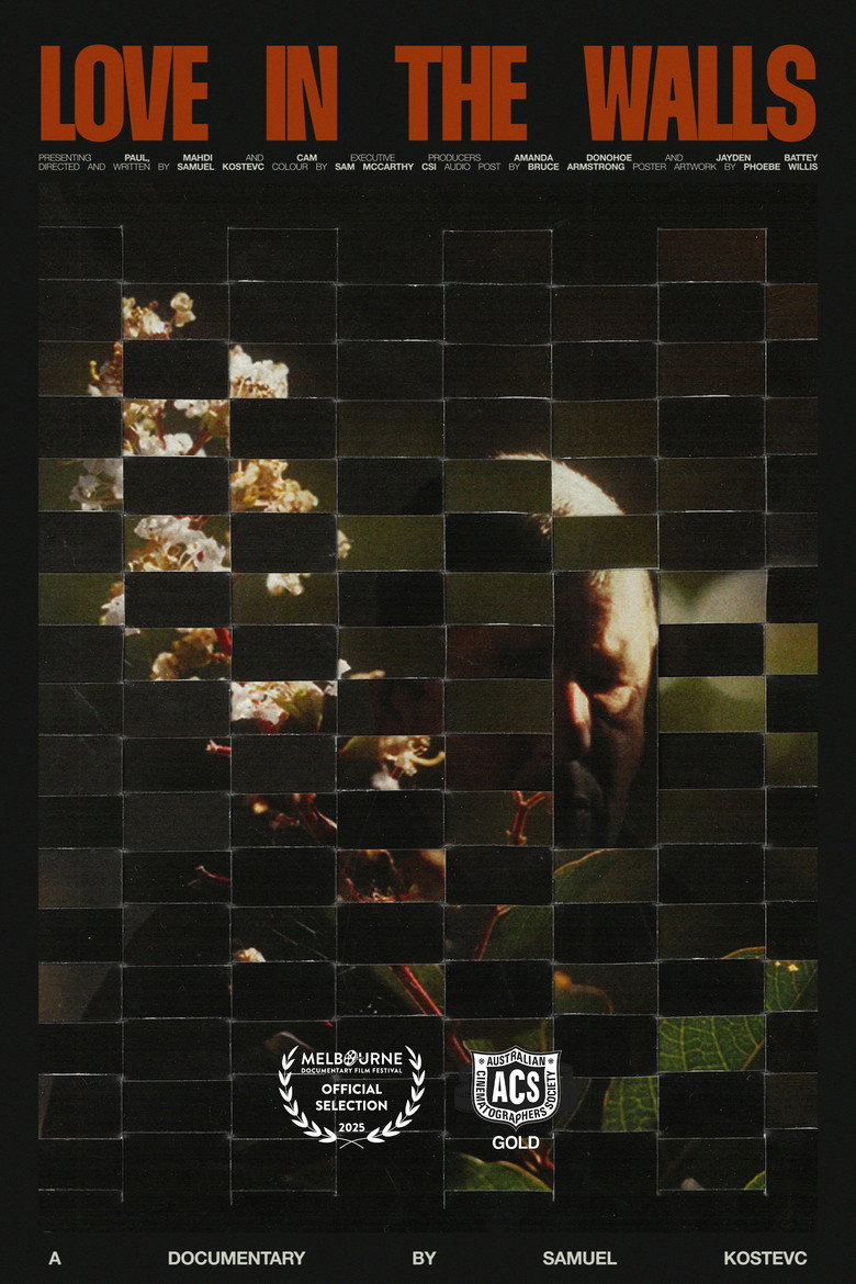 Love in the Walls poster background