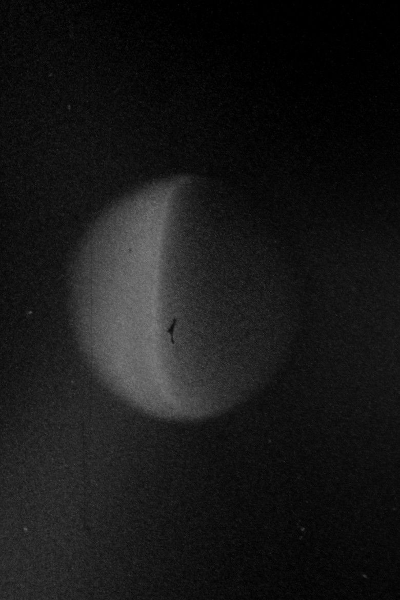 Lunario poster background