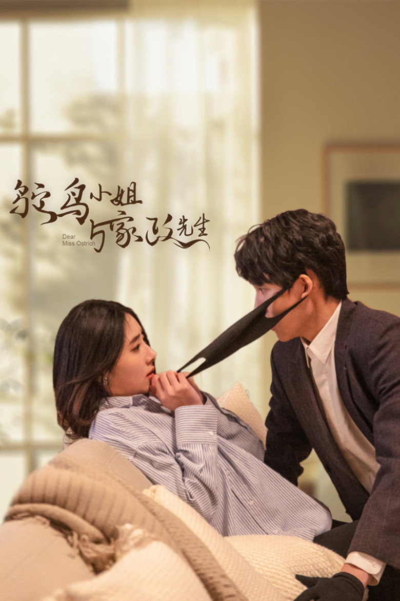 Dear Miss Ostrich poster background