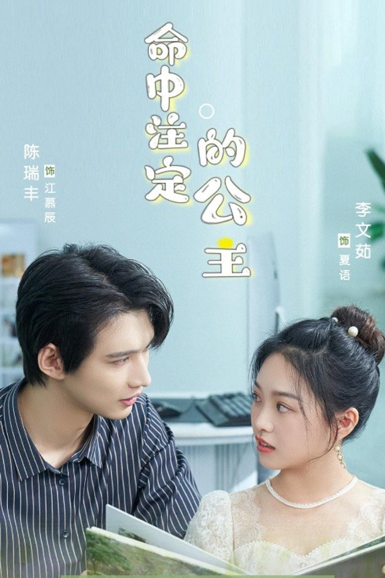 The Princess of Destiny poster background