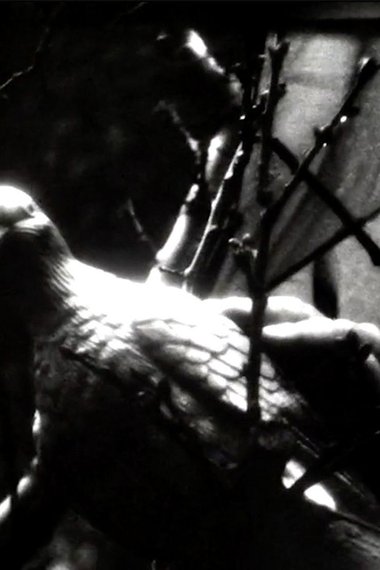 Paradise Tempay poster background