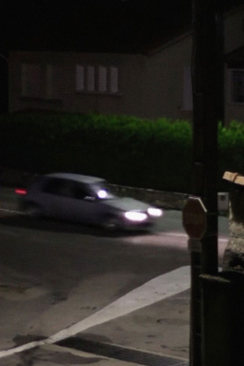 Bupkis poster background