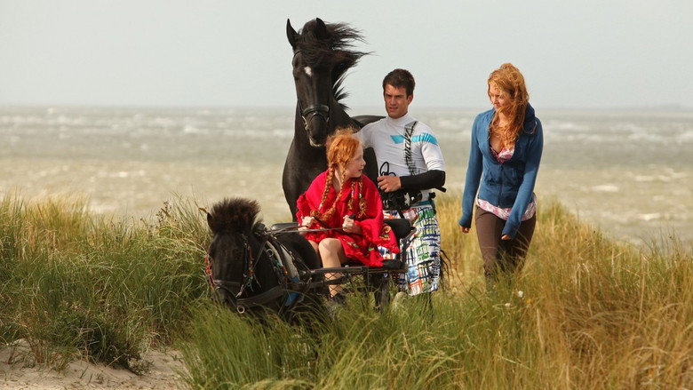 The windswept landscape of Ameland