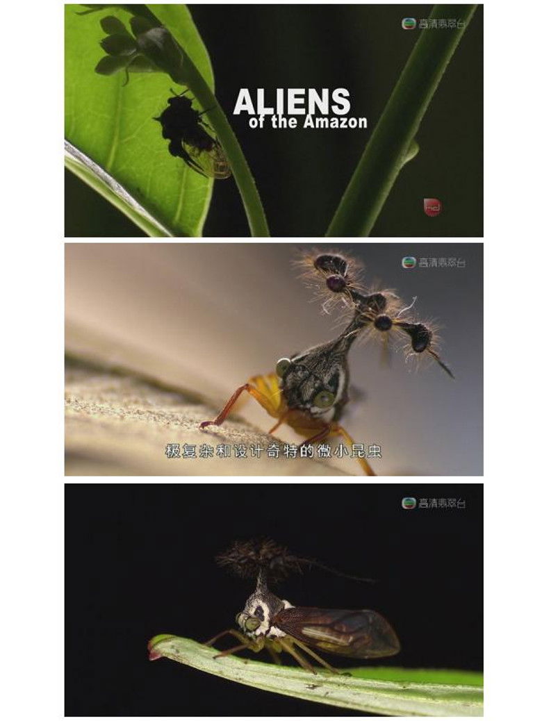 Aliens of the Amazon poster background