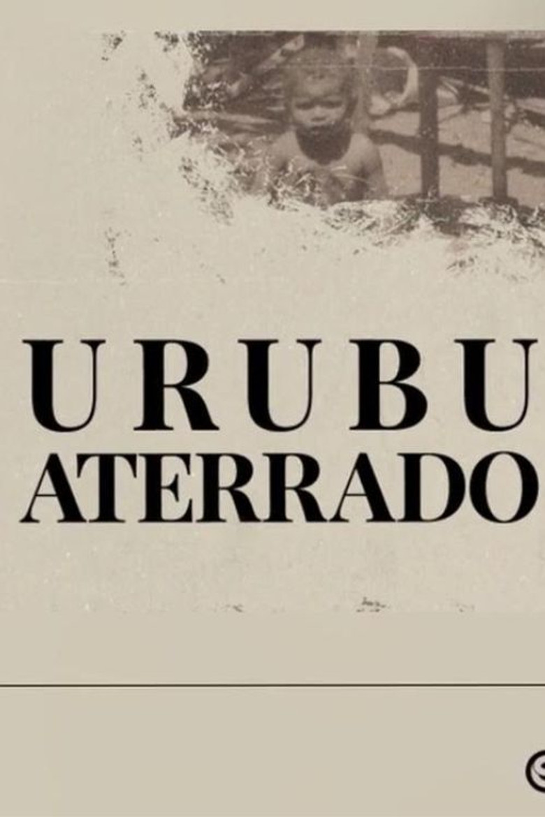 Urubu aterrado poster background