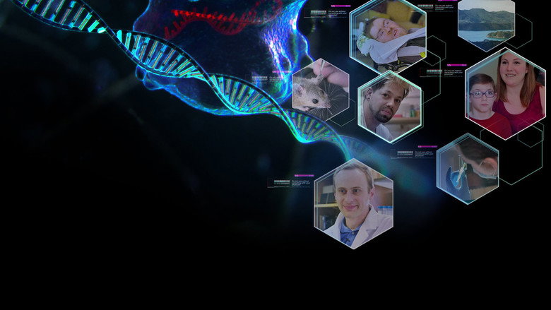 A close-up of a child's face, eyes reflecting light, as he stares at a screen he can barely see