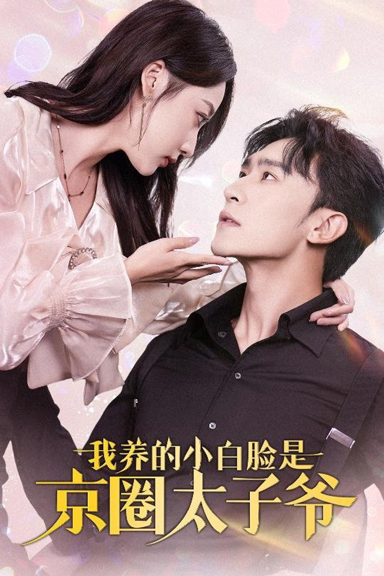 我养的小白脸是京圈太子爷 poster background