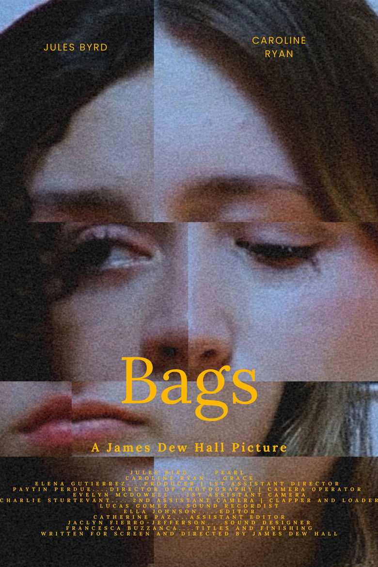 Bags poster background