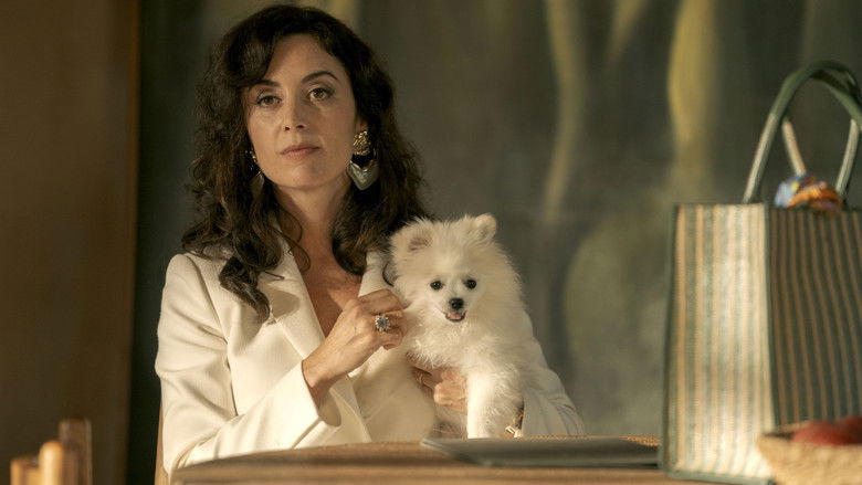 The sun-drenched Mallorca estate