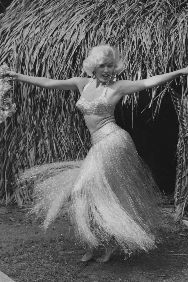 Hawaiian Nights poster background