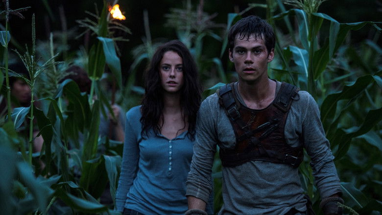 The massive doors of the maze closing