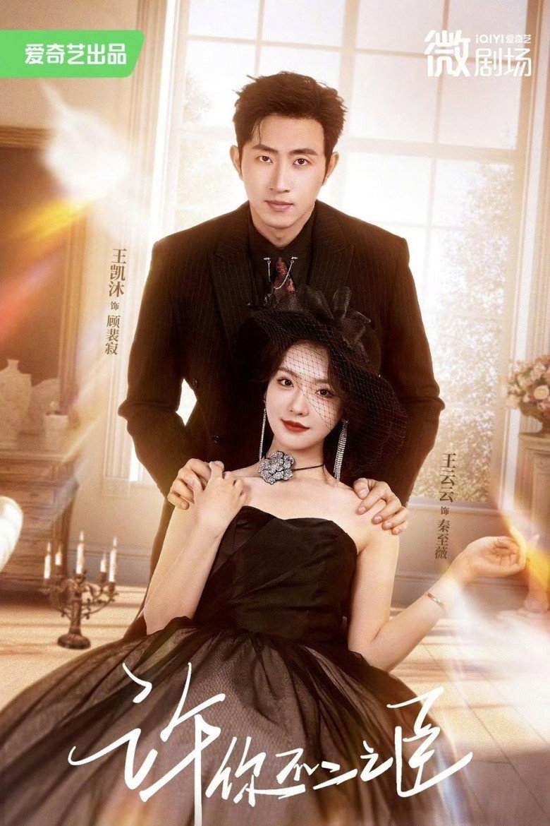 许你不二之臣 poster background