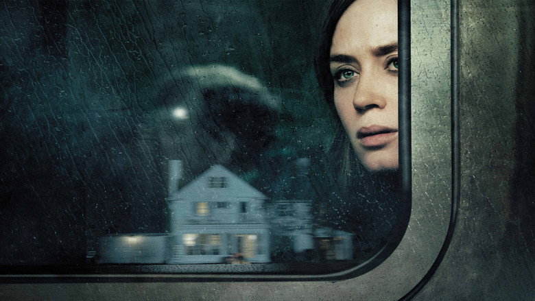 Rachel Watson stares out the train window, her reflection blurred by condensation.