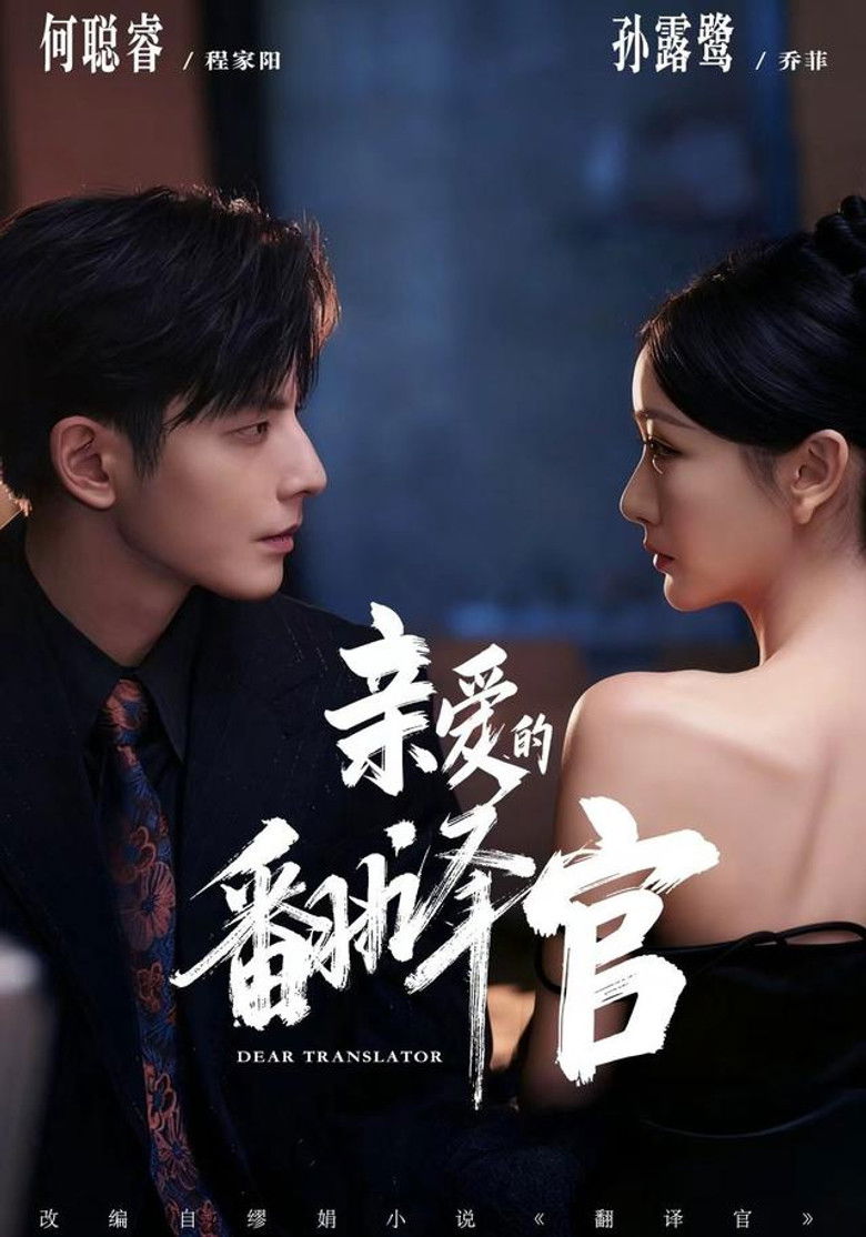 亲爱的翻译官 poster background