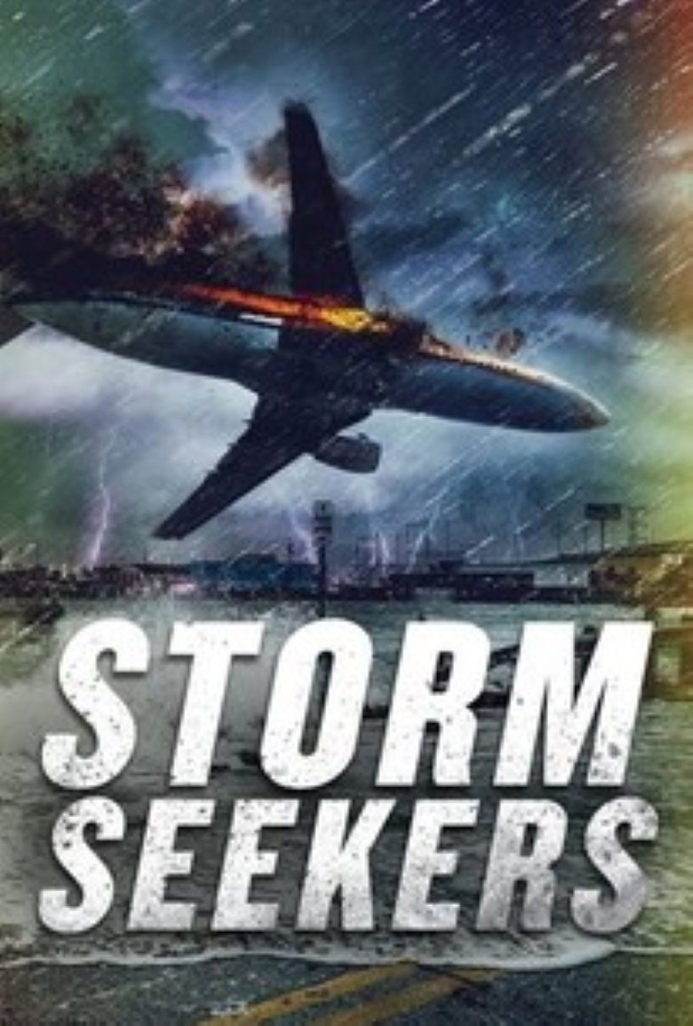 Storm Seekers poster background